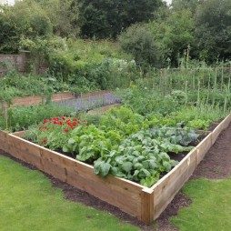 Garten anlegen: Ein Hochbeet oder nicht